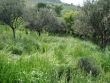 http://www.sapphoestate.com/images/listing_photos/114_dsc01809.jpg
