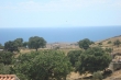 http://www.sapphoestate.com/images/listing_photos/117_dsc06838.jpg