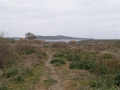 http://www.sapphoestate.com/images/listing_photos/11_sig0002_2.jpg 1km. from Sigri harbour