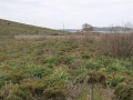 http://www.sapphoestate.com/images/listing_photos/11_sig0002_3.jpg 4000sq.m