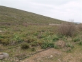 http://www.sapphoestate.com/images/listing_photos/11_sig0002_4.jpg Quiet area