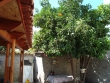 http://www.sapphoestate.com/images/listing_photos/124_dsc03453.jpg