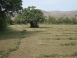 http://www.sapphoestate.com/images/listing_photos/128_dsc05376.jpg