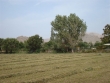 http://www.sapphoestate.com/images/listing_photos/128_dsc05378.jpg