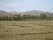http://www.sapphoestate.com/images/listing_photos/128_dsc05379.jpg