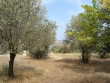 http://www.sapphoestate.com/images/listing_photos/129_dsc05388.jpg