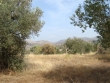 http://www.sapphoestate.com/images/listing_photos/129_dsc05390.jpg