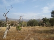 http://www.sapphoestate.com/images/listing_photos/129_dsc05393.jpg