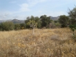 http://www.sapphoestate.com/images/listing_photos/129_dsc05396.jpg