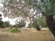 http://www.sapphoestate.com/images/listing_photos/129_dsc05398.jpg