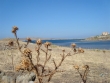 http://www.sapphoestate.com/images/listing_photos/139_dsc02974.jpg