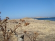 http://www.sapphoestate.com/images/listing_photos/139_dsc02976.jpg