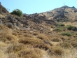 http://www.sapphoestate.com/images/listing_photos/142_dsc03168.jpg