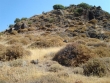 http://www.sapphoestate.com/images/listing_photos/142_dsc03169.jpg