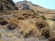 http://www.sapphoestate.com/images/listing_photos/142_dsc03170.jpg