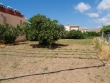 http://www.sapphoestate.com/images/listing_photos/14_p4091317.jpg