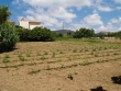 http://www.sapphoestate.com/images/listing_photos/14_p4091320.jpg
