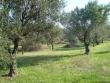 http://www.sapphoestate.com/images/listing_photos/153_dsc05954.jpg