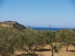 http://www.sapphoestate.com/images/listing_photos/153_p6145897.jpg