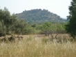 http://www.sapphoestate.com/images/listing_photos/160_dsc04690.jpg