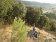 http://www.sapphoestate.com/images/listing_photos/169_dsc032263.jpg