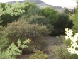 http://www.sapphoestate.com/images/listing_photos/169_dsc03244.jpg