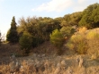 http://www.sapphoestate.com/images/listing_photos/169_dsc03336.jpg