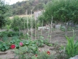http://www.sapphoestate.com/images/listing_photos/170_dsc00631.jpg