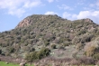 http://www.sapphoestate.com/images/listing_photos/171_dsc0323.jpg