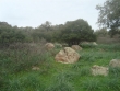 http://www.sapphoestate.com/images/listing_photos/171_dsc03997.jpg
