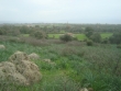 http://www.sapphoestate.com/images/listing_photos/171_dsc04000.jpg