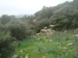 http://www.sapphoestate.com/images/listing_photos/171_dsc04020.jpg