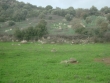 http://www.sapphoestate.com/images/listing_photos/171_dsc04031.jpg
