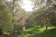 http://www.sapphoestate.com/images/listing_photos/171_dsc0418.jpg