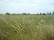http://www.sapphoestate.com/images/listing_photos/195_dsc06406.jpg
