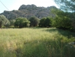 http://www.sapphoestate.com/images/listing_photos/209_dsc00401.jpg