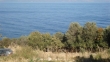 http://www.sapphoestate.com/images/listing_photos/213_dsc00171.jpg