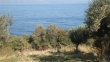 http://www.sapphoestate.com/images/listing_photos/213_dsc00172.jpg