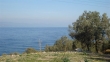 http://www.sapphoestate.com/images/listing_photos/213_dsc00182.jpg