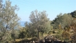 http://www.sapphoestate.com/images/listing_photos/213_dsc00190.jpg