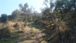 http://www.sapphoestate.com/images/listing_photos/213_dsc00197.jpg