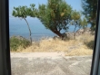 http://www.sapphoestate.com/images/listing_photos/215_dsc03977.jpg