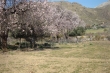 http://www.sapphoestate.com/images/listing_photos/218_dsc02166.jpg
