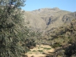 http://www.sapphoestate.com/images/listing_photos/218_dsc02172.jpg