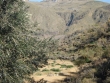 http://www.sapphoestate.com/images/listing_photos/218_dsc02178.jpg