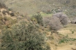 http://www.sapphoestate.com/images/listing_photos/218_dsc02179.jpg