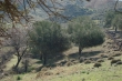 http://www.sapphoestate.com/images/listing_photos/218_dsc02190.jpg