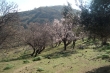 http://www.sapphoestate.com/images/listing_photos/218_dsc02205.jpg