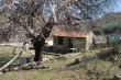 http://www.sapphoestate.com/images/listing_photos/218_dsc02215.jpg