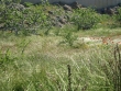 http://www.sapphoestate.com/images/listing_photos/224_dsc03056.jpg